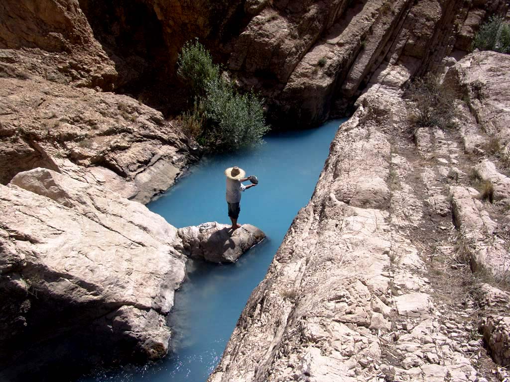 رهایی ماهی ها در آب رودخانه هراز