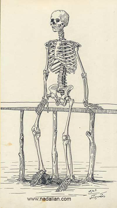 طراحی استخوان ها، دانشکده پزشکی دانشگاه تهران، تابستان 1363