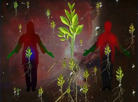 انرژی هسته ای: چند رسانه ای آن لاین احمد نادعلیان