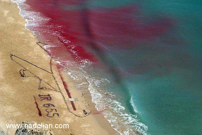 پرواز 655 در نقشه اجرا در پانزدهمین جشنواره هنر محیطی، مخالفت با جنگ و نظامی شدن منطقه خلیج فارس در جزیره هرمز ساحل لاک پشت ها (بهمن ماه 1386)