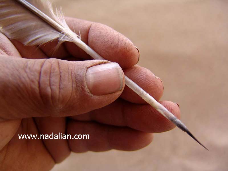 قلم موی ساخته شده با پر پرنده و موی دم گربه سال 1387